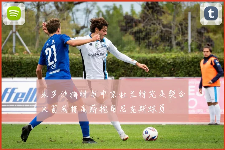 米罗沙梅特与申京杜兰特完美契合火箭或将高薪挖角尼克斯球员